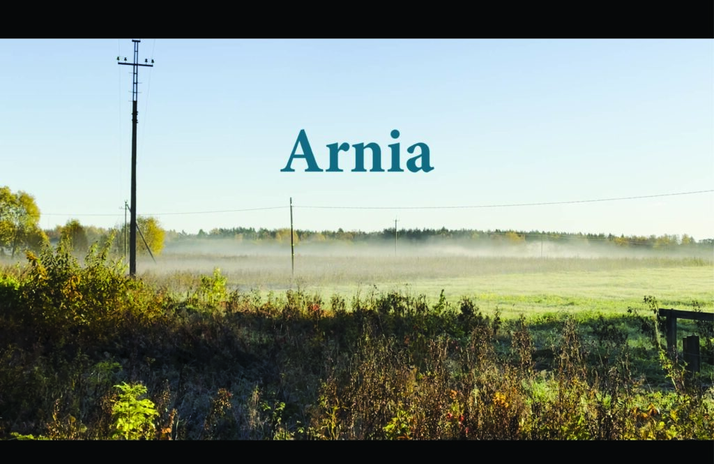 Filmi „Arnia” plakat